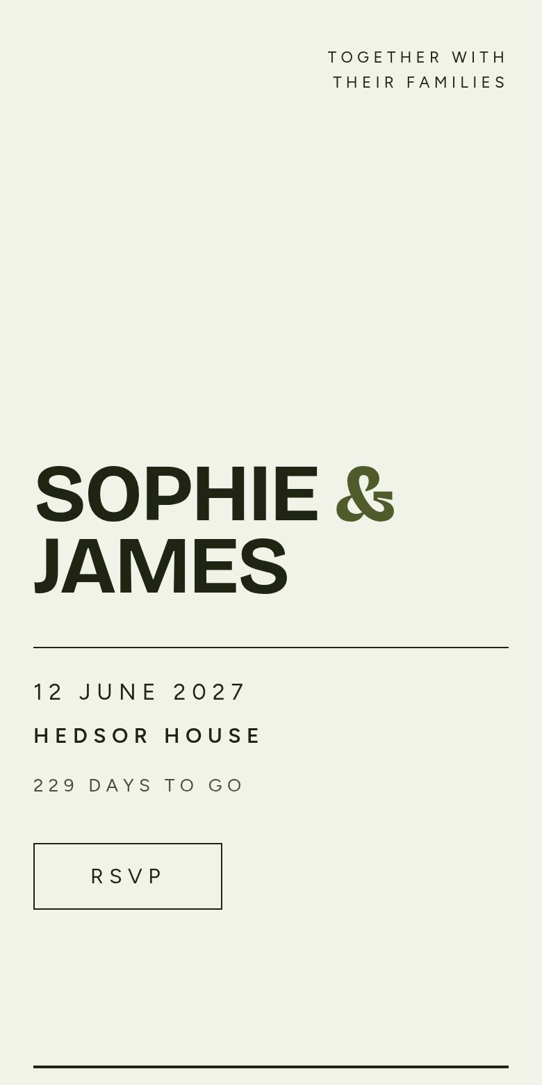 Arch Modern wedding website design